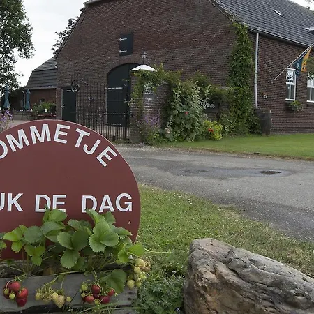 Bed & Breakfast B&B Hoeve Carpe Diem Heijen