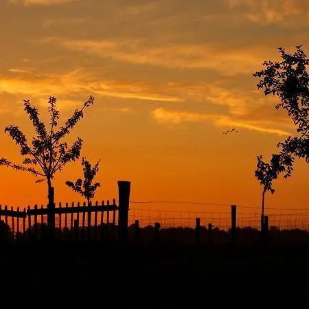 לינה וארוחת בוקר B&B Hoeve Carpe Diem