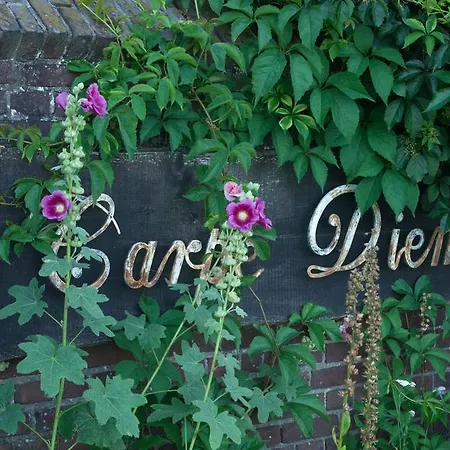 B&B Hoeve Carpe Diem לינה וארוחת בוקר *