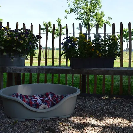 B&B Hoeve Carpe Diem לינה וארוחת בוקר