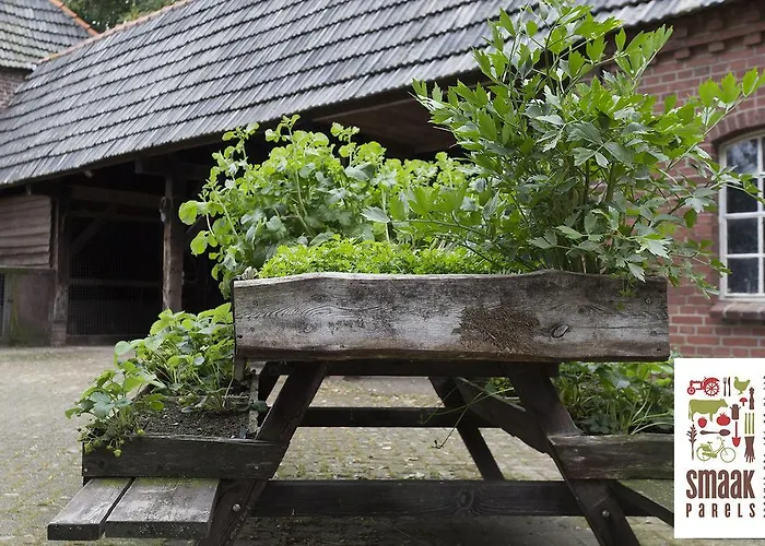 B&B Hoeve Carpe Diem Heijen