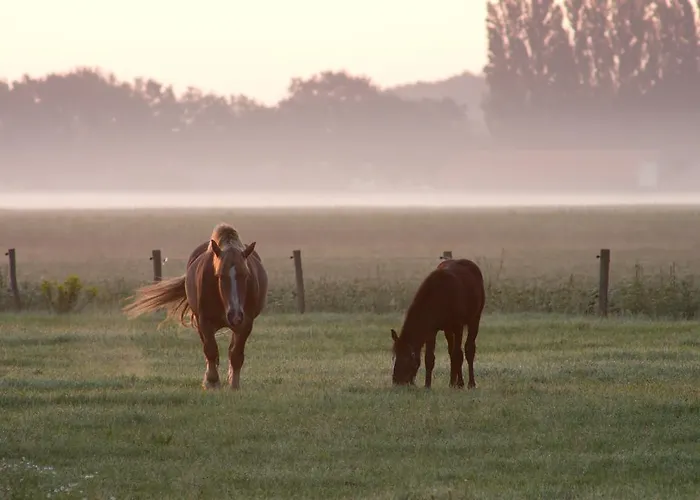 Bed & Breakfast B&B Hoeve Carpe Diem *
