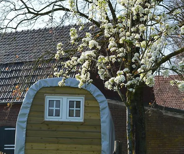 B&B Hoeve Carpe Diem Bed & Breakfast Heijen