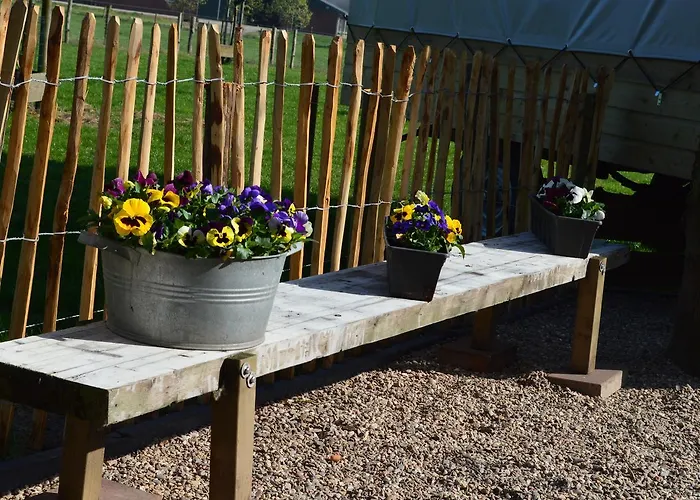 B&B Hoeve Carpe Diem * Heijen