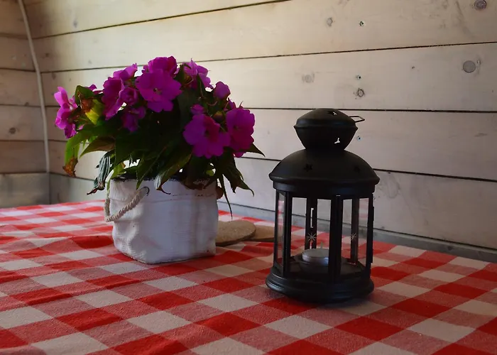 Bed & Breakfast B&B Hoeve Carpe Diem *