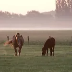 ベッド・アンド・ブレックファスト B&B Hoeve Carpe Diem *