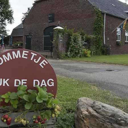 Bed and Breakfast B&B Hoeve Carpe Diem Heijen