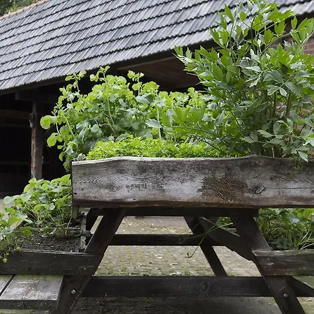 B&B Hoeve Carpe Diem Heijen