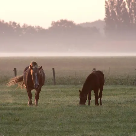 فندق مبيت وإفطار B&B Hoeve Carpe Diem *