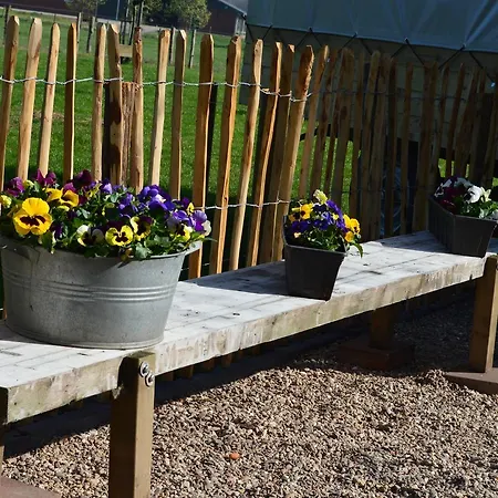 B&B Hoeve Carpe Diem * Heijen