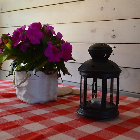לינה וארוחת בוקר B&B Hoeve Carpe Diem *