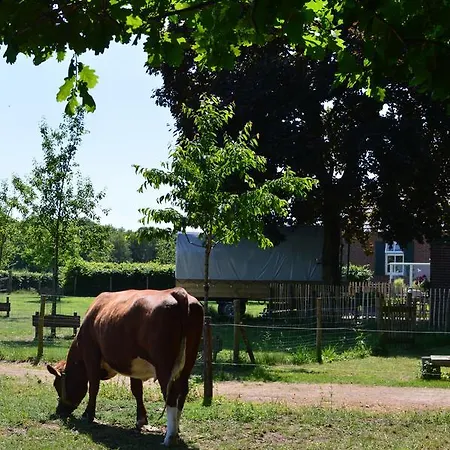 B&B Hoeve Carpe Diem