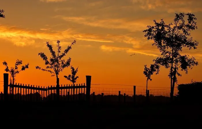 Bed and Breakfast B&B Hoeve Carpe Diem