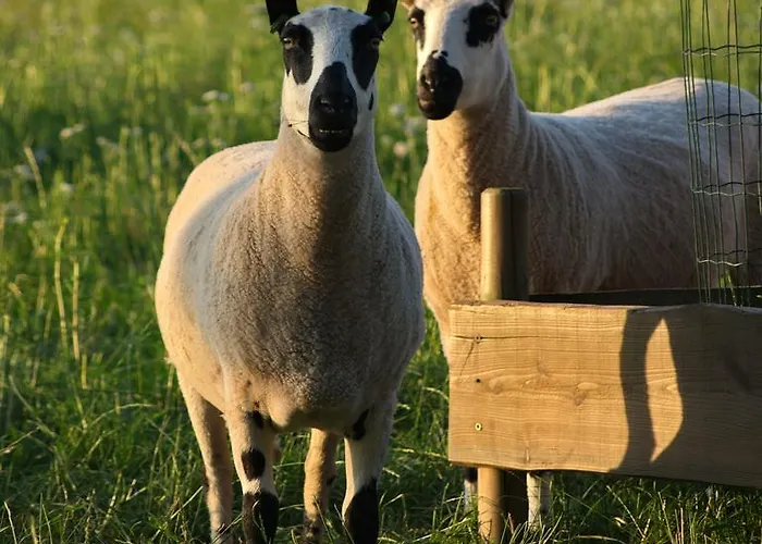 B&B Hoeve Carpe Diem Bed and Breakfast *