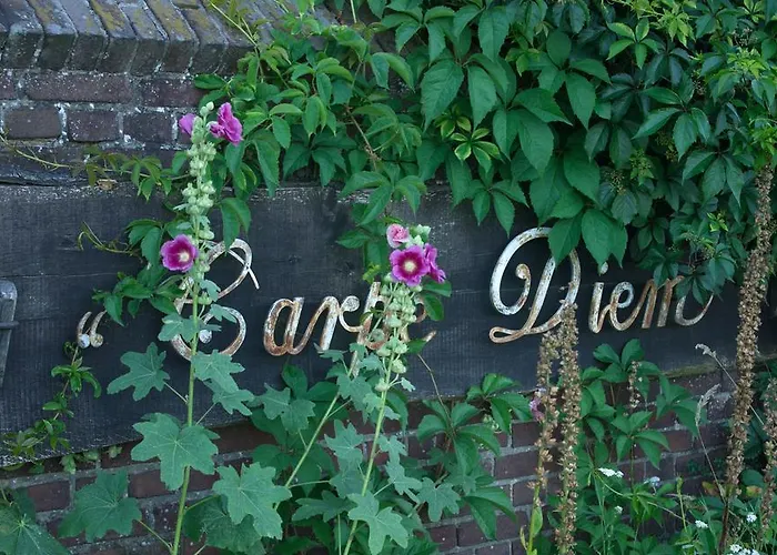B&B Hoeve Carpe Diem Bed and Breakfast *