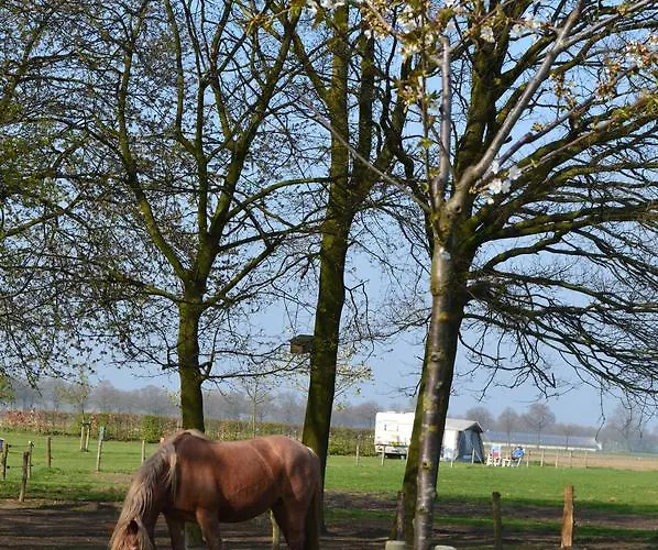 B&B Hoeve Carpe Diem Bed and Breakfast