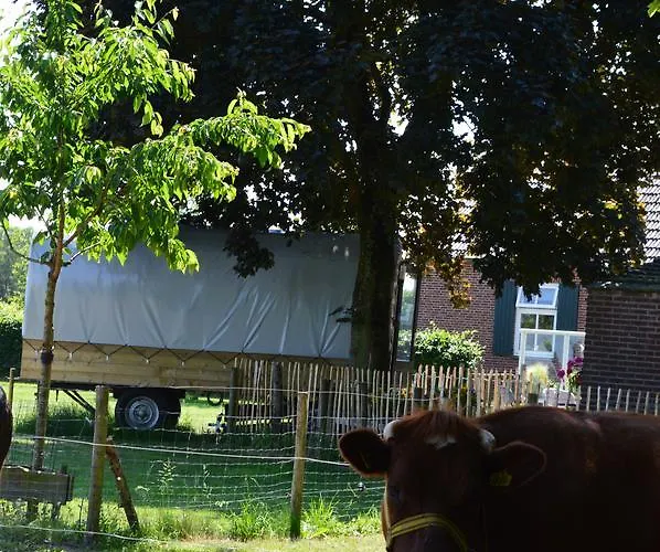 B&B Hoeve Carpe Diem Bed and Breakfast