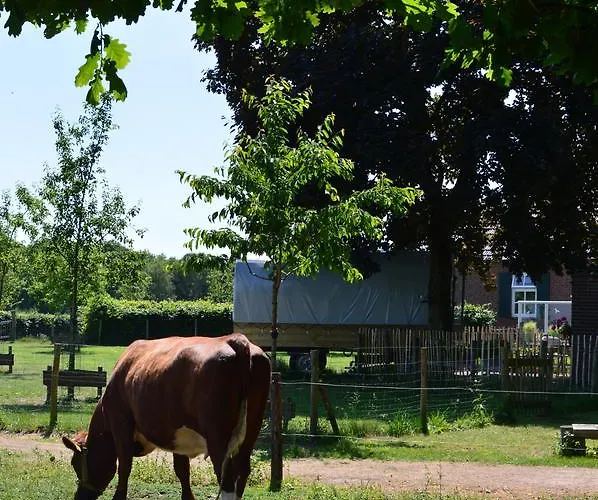 B&B Hoeve Carpe Diem