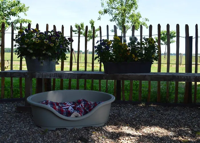 B&B Hoeve Carpe Diem Bed and Breakfast